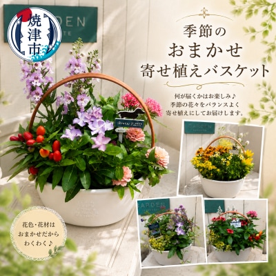 季節のおまかせ寄せ植えバスケット(a10-1174)