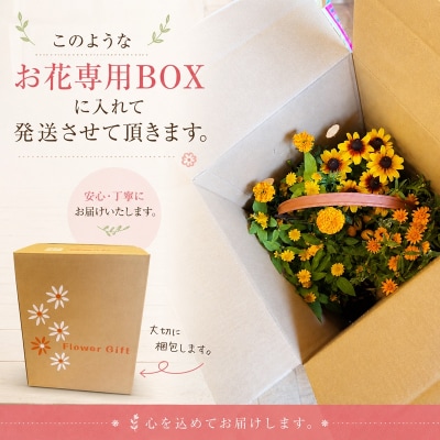 季節のおまかせ寄せ植えバスケット(a10-1174)