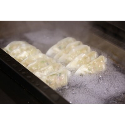 餃子研究所　男餃子×6パック(a11-146)