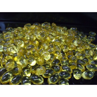 【定期便4回分】深海鮫肝臓油　アクアマリン300mg×360粒(約3ヶ月分)(b440-003)
