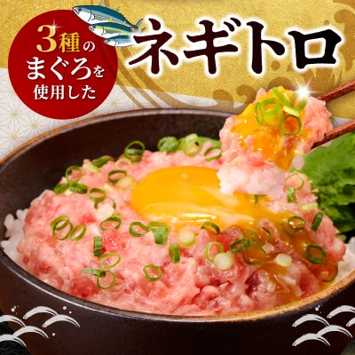 ネギトロ100g×16パック 合計1.6kg(a10-1289)
