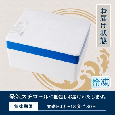 ネギトロ100g×16パック 合計1.6kg(a10-1289)
