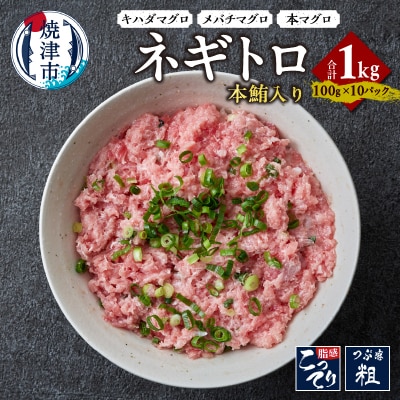 本鮪入り ネギトロ 100g x 10パック 合計1.0kg(a13-107)