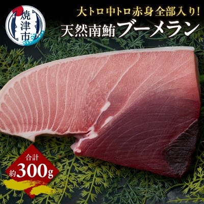 天然 南マグロ ブーメラン 約300g(a11-158)