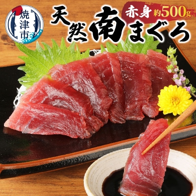 焼津港水揚げ ・南まぐろ(a10-430)