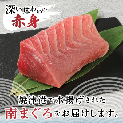 焼津港水揚げ ・南まぐろ(a10-430)