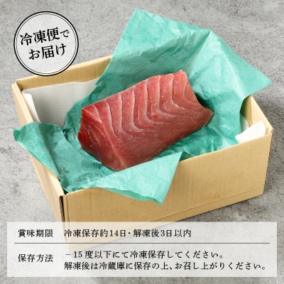 焼津港水揚げ ・南まぐろ(a10-430)