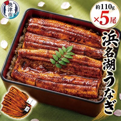 浜名湖うなぎ蒲焼5尾(a30-308)