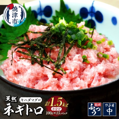 焼津 海の極 海伸 マグロ ネギトロ 小分け 1.5kg 100g×15パック(a14-124)