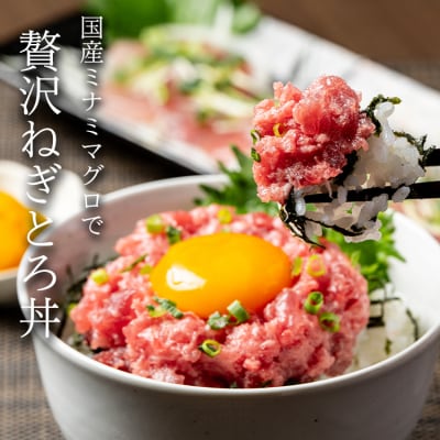 ミナミマグロ入り マグロのたたき 焼津 海の極 ネギトロ 冷凍(100g×8)(a13-135)