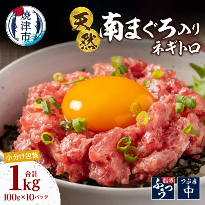 ミナミマグロ入り マグロのたたき 焼津 海の極 ネギトロ 冷凍(100g× 10)(a15-710)