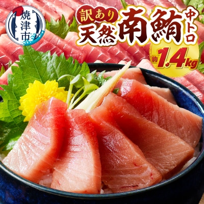訳あり ミナミマグロ 刺身 中トロ 天然 切り落とし 約1.4kg(a29-014)