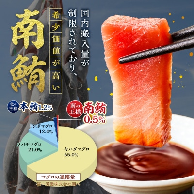 訳あり ミナミマグロ 刺身 中トロ 天然 切り落とし 約1.4kg(a29-014)