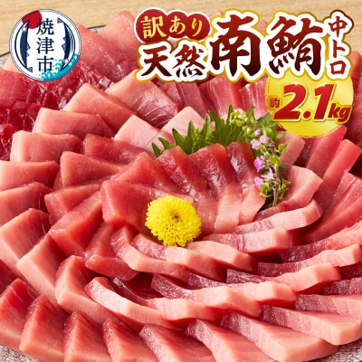 訳あり ミナミマグロ 鮪 刺身 中トロ 天然 切り落とし 約2.1kg(a43-009)