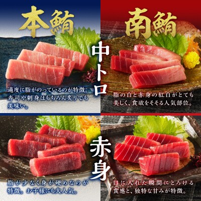 マグロ 本マグロ 南マグロ 天然 中トロ 赤身 食べ比べ 柵 贅沢 540g(a27-014)