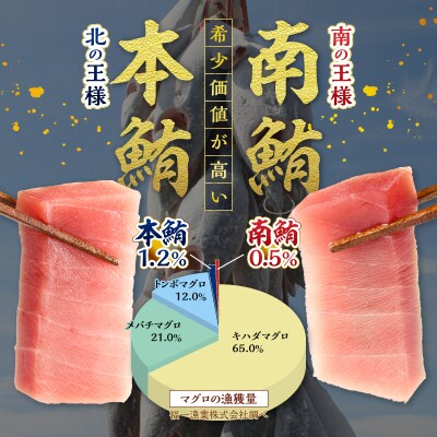 マグロ 本マグロ 南マグロ 天然 中トロ 赤身 食べ比べ 柵 贅沢 1080g(a66-003)