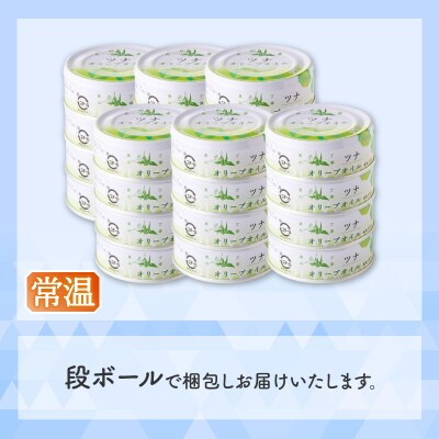 サスナ　オリーブオイルツナ缶(フレーク)24缶(a22-063)