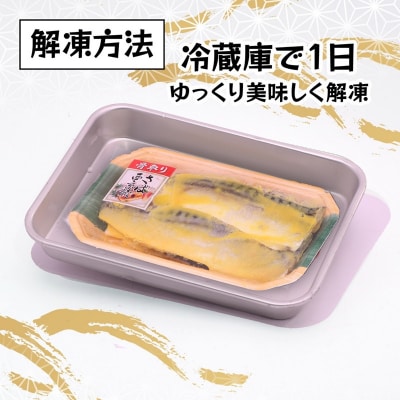 訳あり!!お楽しみ!バラエティ漬魚10パックセット(a10-1010)