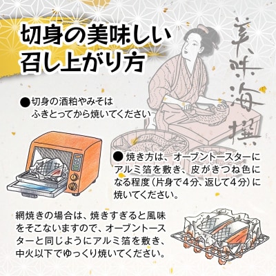 訳あり!!お楽しみ!バラエティ漬魚10パックセット(a10-1010)