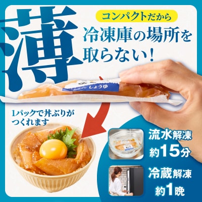 ご飯にのせて食べる 漬丼の具 6種 計8パック セット(a10-1307)