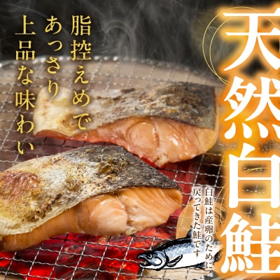 厚切りカット!天然 白鮭 甘口 切身 約2kg(a15-713)