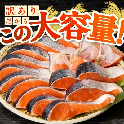 厚切りカット! 訳あり 銀鮭 切身 約2.4kg(a20-490)