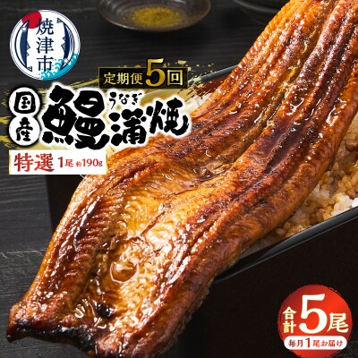 【定期便 5回】特選 国産うなぎ蒲焼定期便 約190g×5回(a60-043)