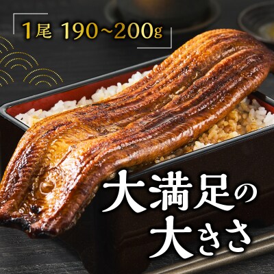 【定期便 5回】特選 国産うなぎ蒲焼定期便 約190g×5回(a60-043)