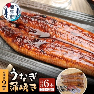 【定期便】静岡県産　うなぎ蒲焼き 3本×2回(a50-152)