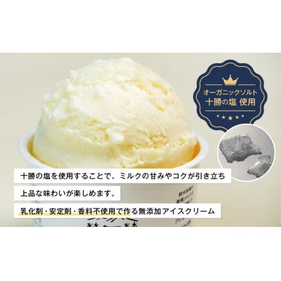 鈴木牧場アイスクリーム プレミアムミルク【北海道アイス 　十勝アイス 　広尾町 】(AC0062)