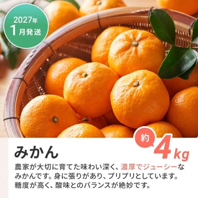 【定期便(3回発送)】果物定期便B　2026