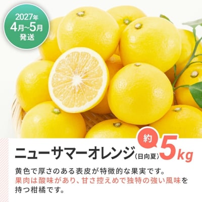【定期便(3回発送)】果物定期便B　2026