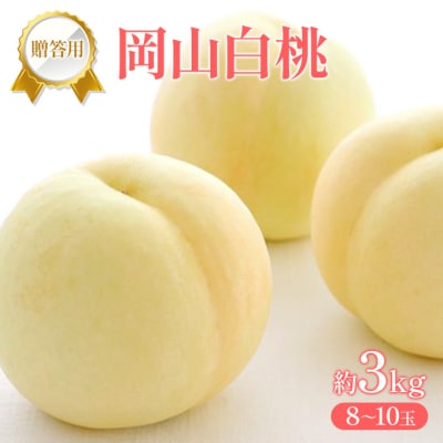 桃 2027年 先行受付 贈答用 岡山 白桃 約3kg(8～10玉)[NO5765-1428]
