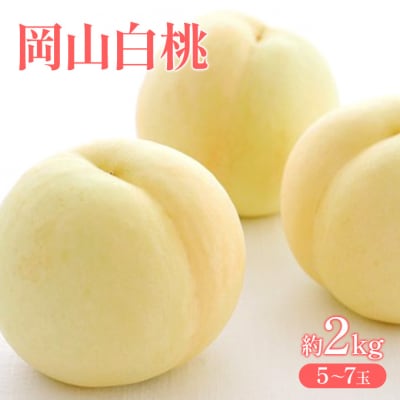 桃 2027年 先行受付 岡山 白桃 約2kg (5～7玉)[NO5765-1429]