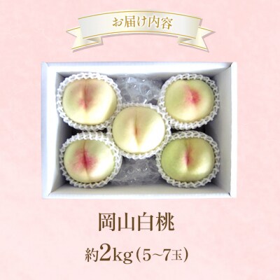 桃 2027年 先行受付 岡山 白桃 約2kg (5～7玉)[NO5765-1429]