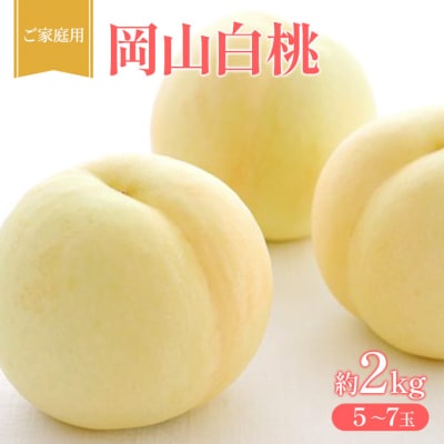 桃 2027年 先行受付 ご家庭用 岡山 白桃 約2kg (5～7玉) [NO5765-1430]