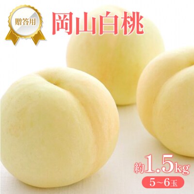 桃 2027年 先行受付 贈答用 岡山 白桃 約1.5kg (5～6玉)[NO5765-1431]