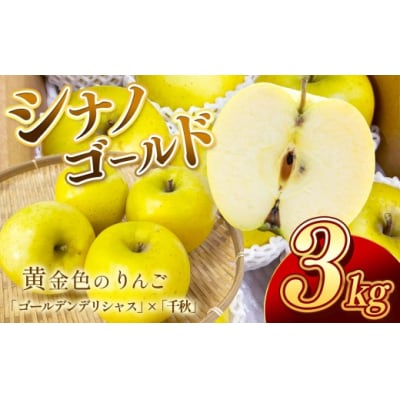 信州のりんご　シナノゴールド　3キロ!　信濃三兄弟の一つ　バリッと食感さっぱり酸味