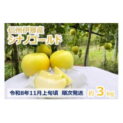 信州のりんご　シナノゴールド　3キロ!　信濃三兄弟の一つ　バリッと食感さっぱり酸味