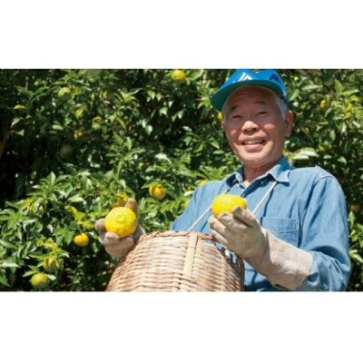 高知アイスの無添加ゆずドリンク「希釈用」1L×6本
