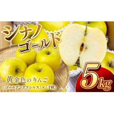 信州のりんご　シナノゴールド5キロ!　日持ちよく大人気!