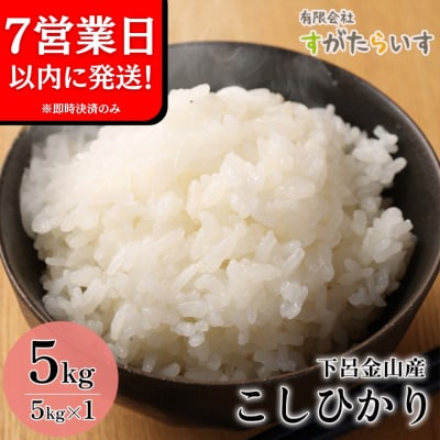 即納【令和7年産米】こしひかり 5kg すがたらいす 2025年産 コシヒカリ【51-5】