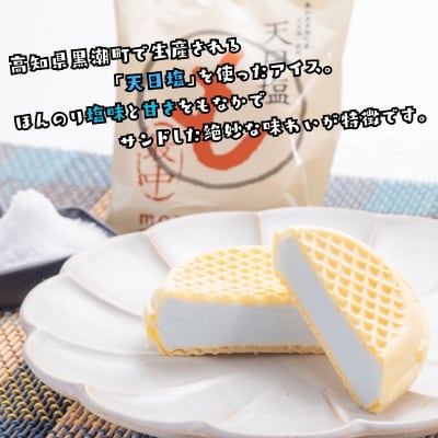 Made in 土佐★天日塩もなか6個(高知アイス)