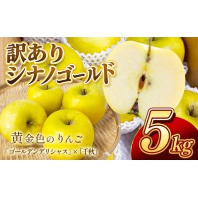 信州のりんご　シナノゴールド　訳あり　5キロ!　信濃三兄弟の一つ