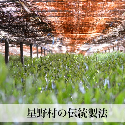【2026年産】星野村の抹茶 こまかげ 薄茶用 20g(筑前町)【202609】