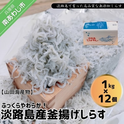 淡路島のふっくらやわらかい「釜揚げしらす干し」 1kg入り×12個 合計12kg