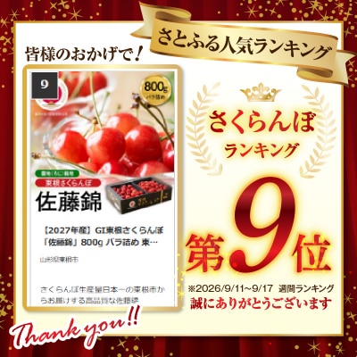【2027年産】GI東根さくらんぼ「佐藤錦」800g バラ詰め 東根市 hi001-039-r9