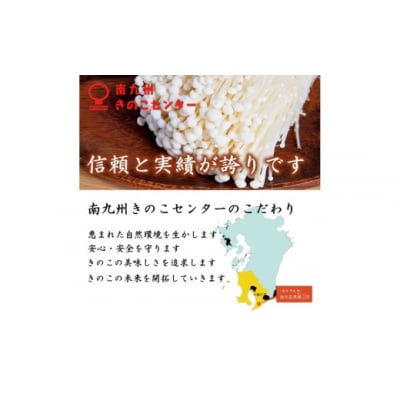 【森のBarのおつまみシリーズ】鹿児島県産えのきチップス4種×2セット 1081-3