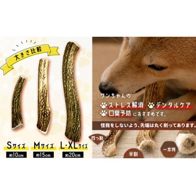 犬用「鹿の角」XLサイズ×2本[53-1636]