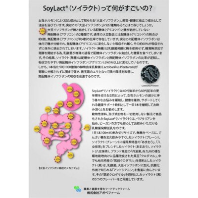 乳酸菌醗酵豆乳「ソイラクト」100ml×4本×3種(プレーン・あまおう・八女抹茶)【202609】